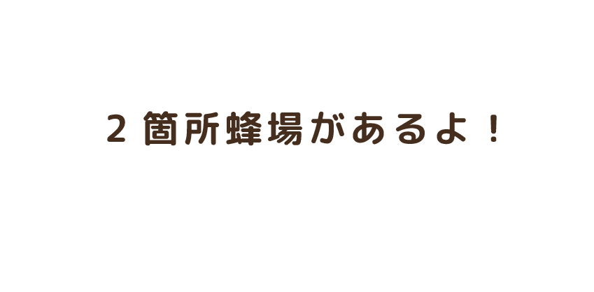 2種類養蜂場があるよ